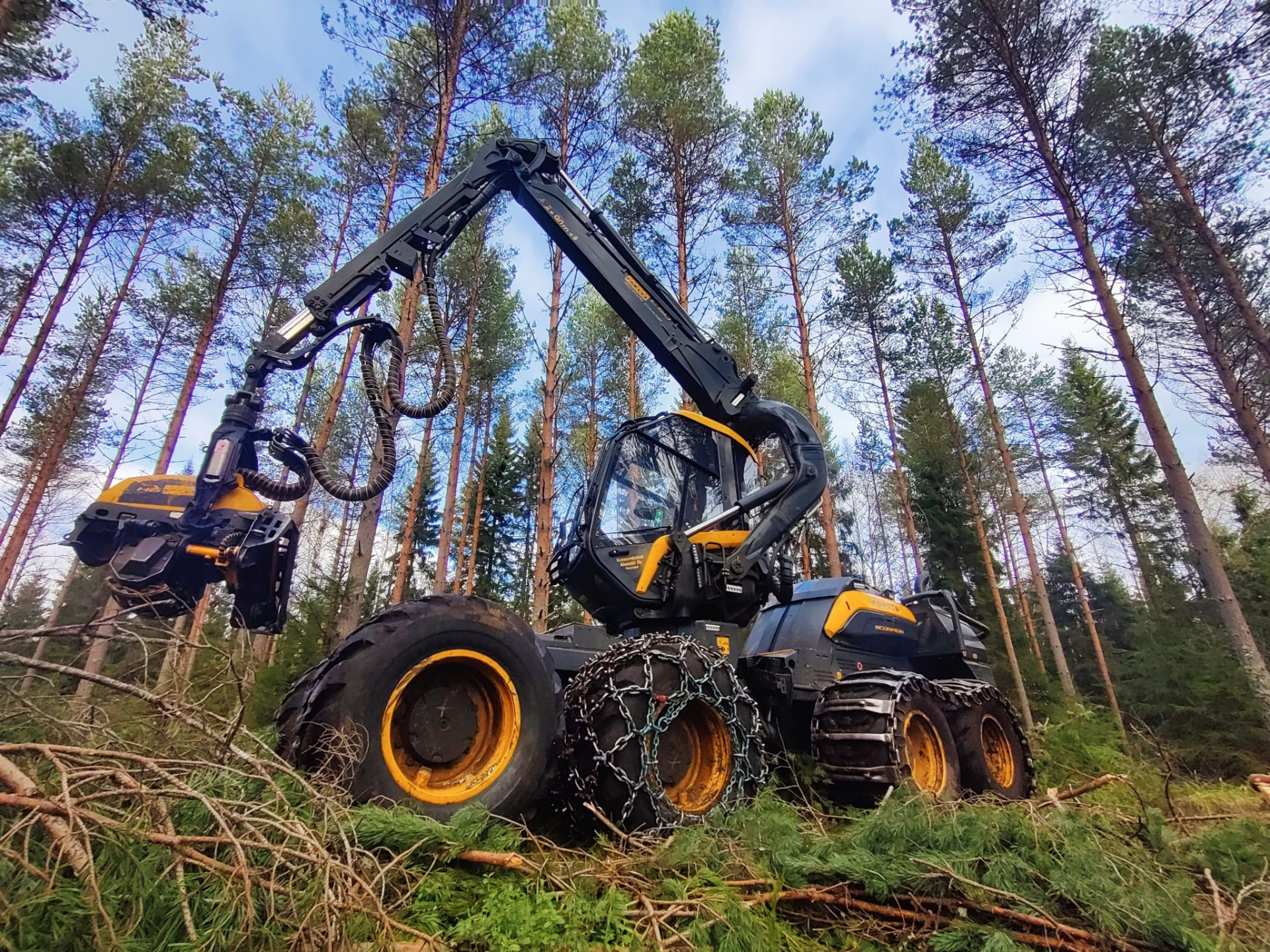Hakkuukone metsässä