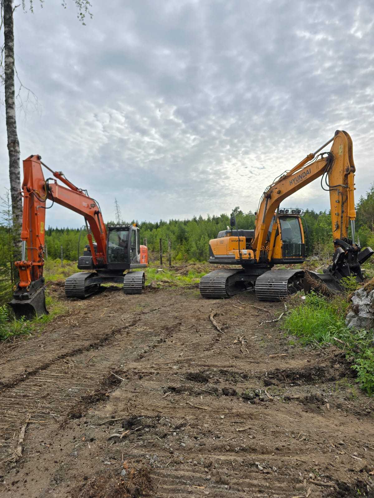 Kaksi kaivinkonetta metsäalueella